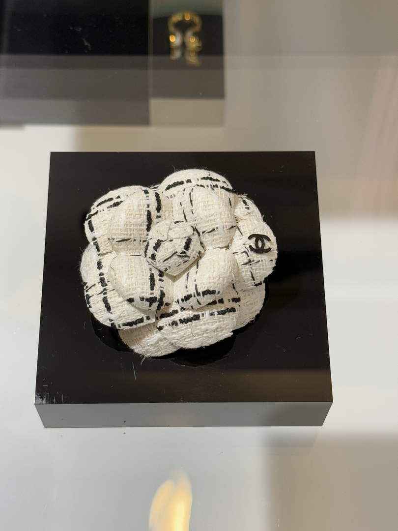Chanel Brooch Jewelry ABH3279