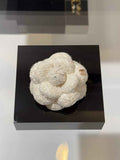 Chanel Brooch Jewelry ABH3281
