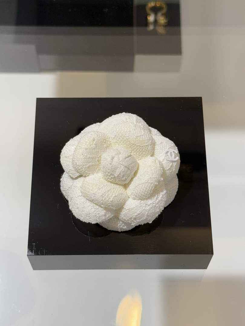 Chanel Brooch Jewelry ABH3282