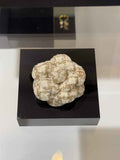Chanel Brooch Jewelry ABH3292