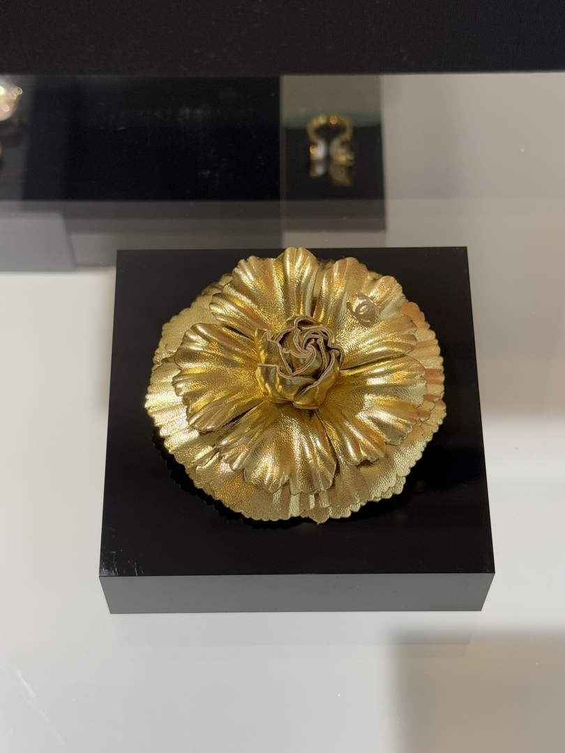 Chanel Brooch Jewelry ABH3296