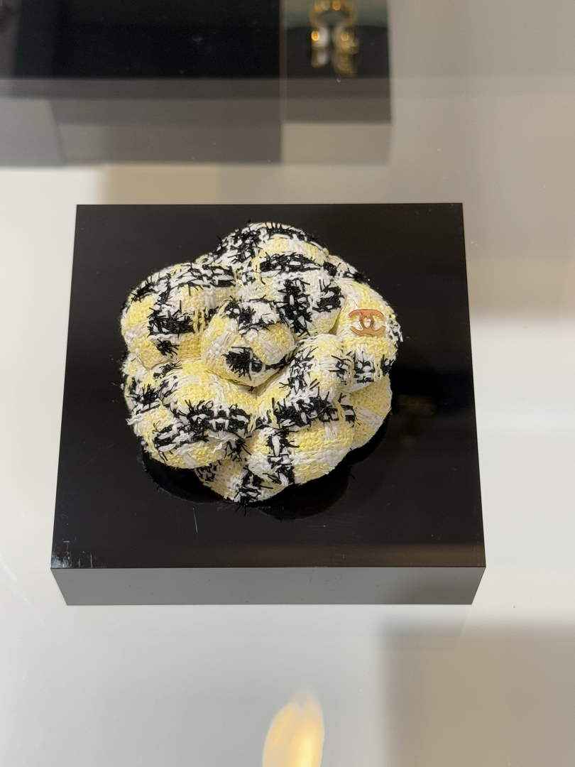 Chanel Brooch Jewelry ABH3298