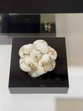 Chanel Brooch Jewelry ABH3301