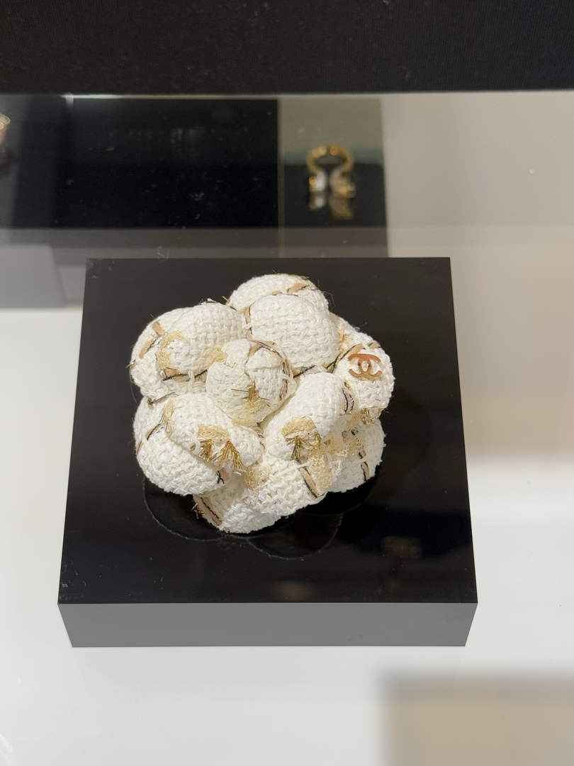 Chanel Brooch Jewelry ABH3301