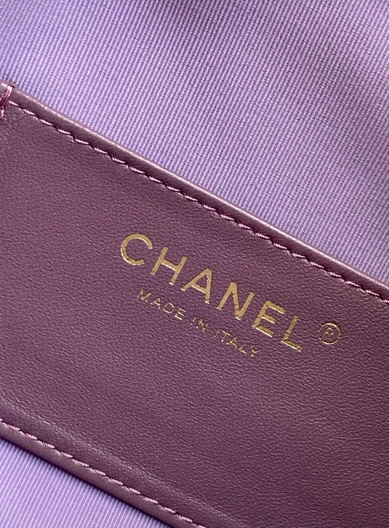 Chanel Hobo Bag AS5311 Purple