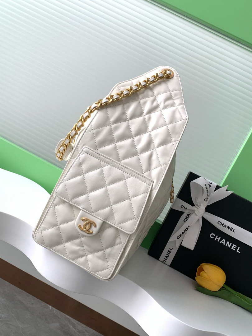 Chanel Hobo Bag AS5311 Beige Leaher