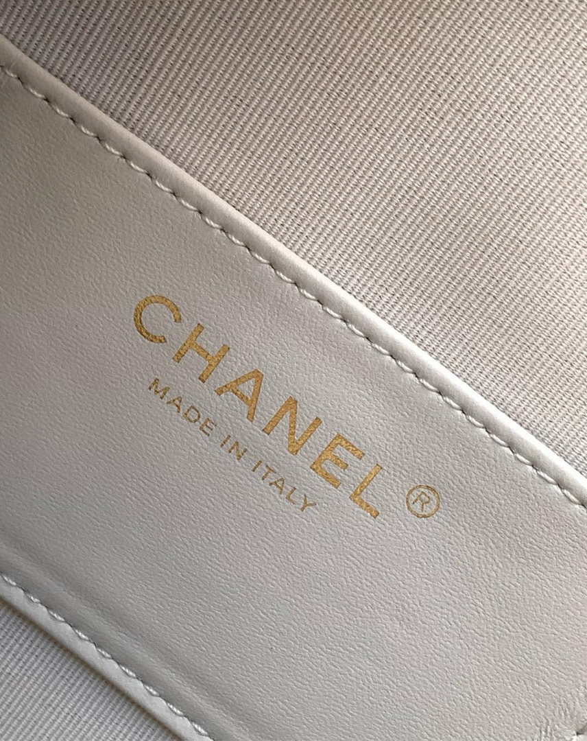Chanel Hobo Bag AS5311 Pink