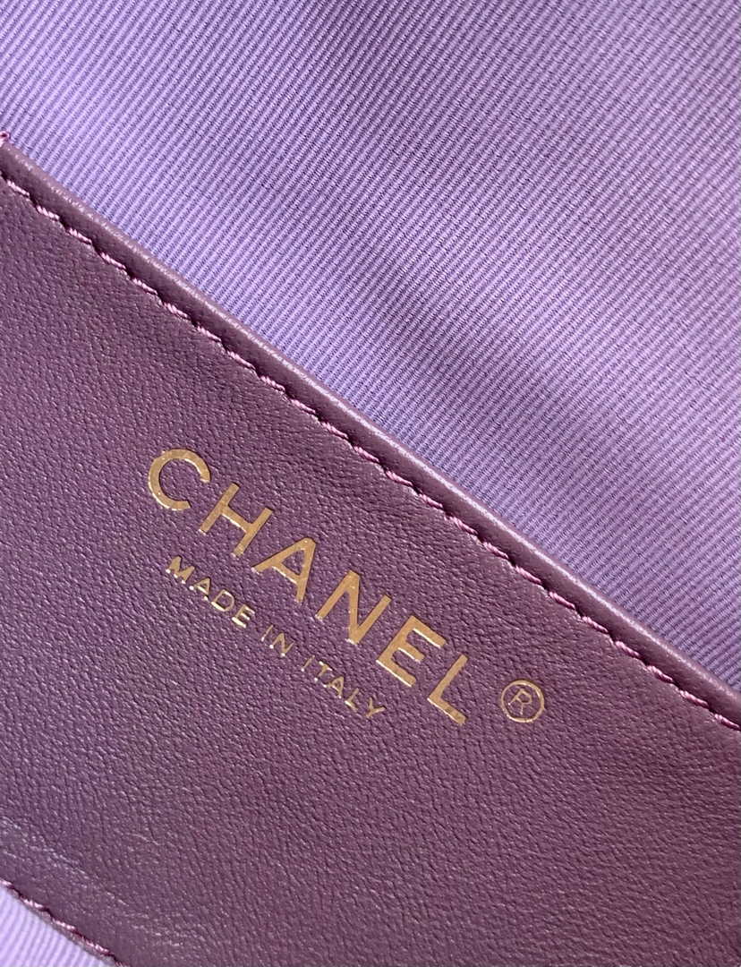 Chanel Hobo Small Bag AS5293 Purple