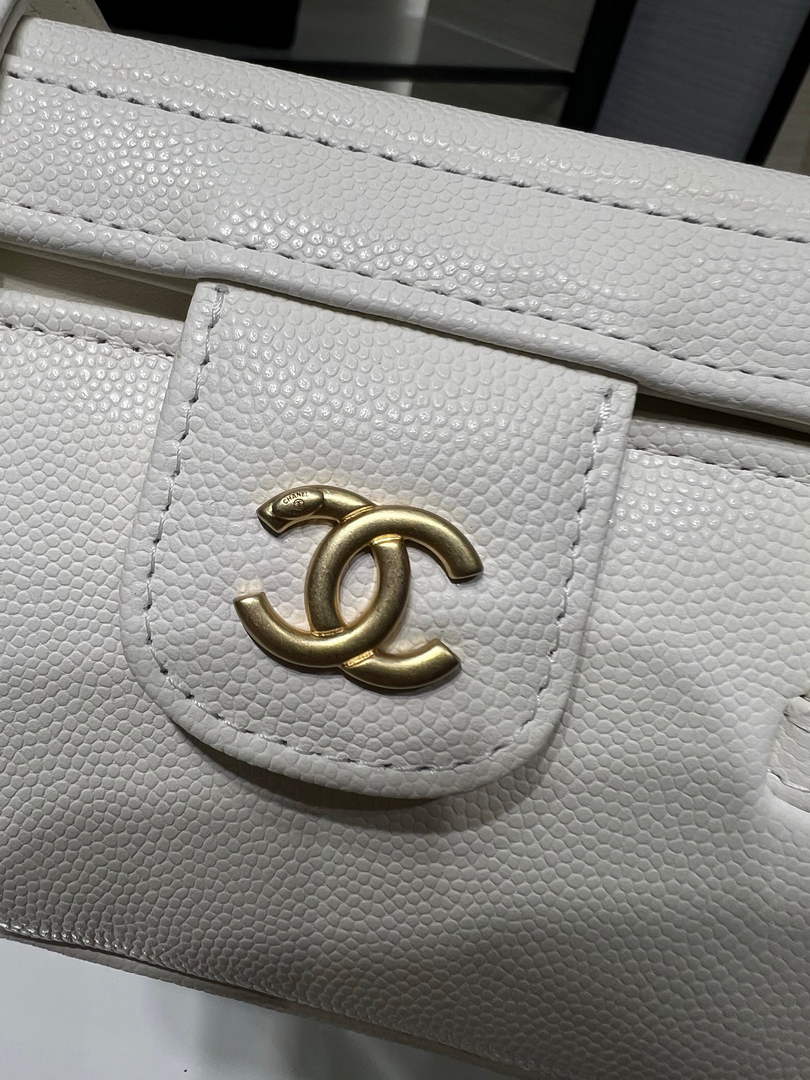 Chanel Long Vanity with Leather Strap AP5067, Calfskin Beige