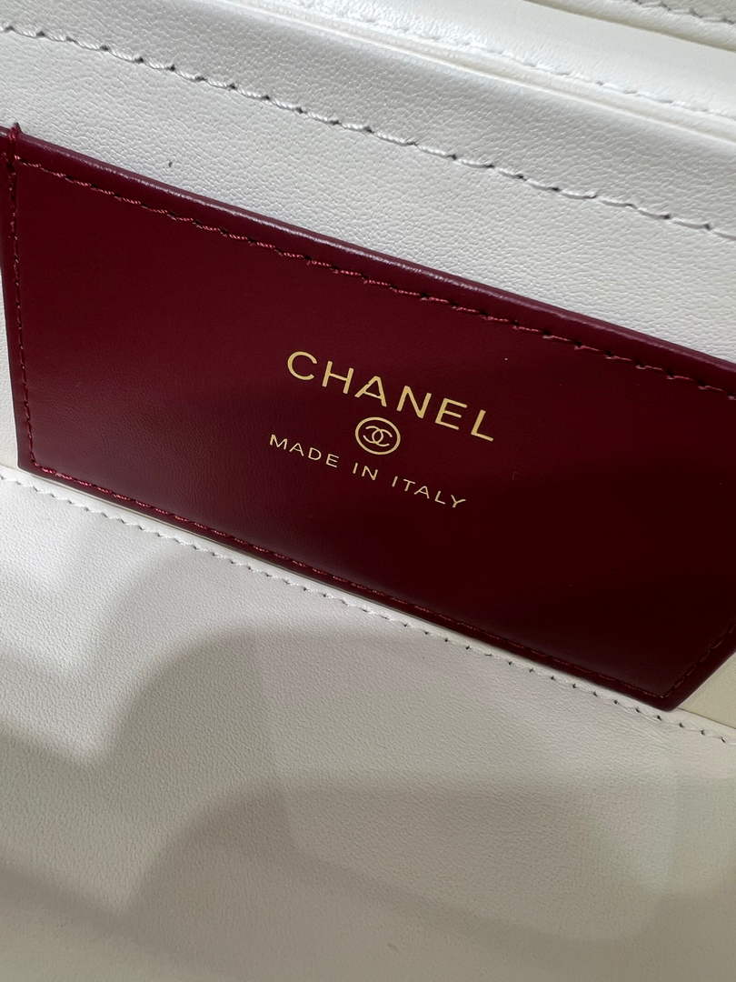 Chanel Long Vanity with Leather Strap AP5067, Calfskin Beige