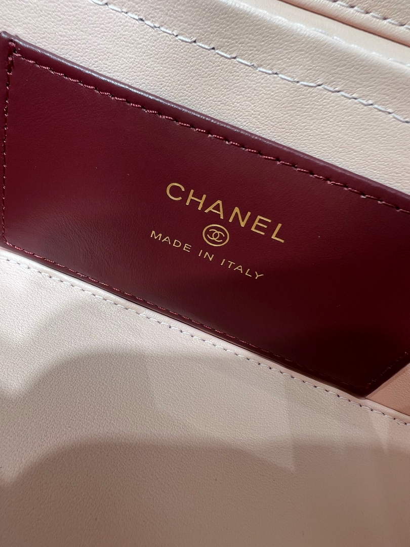 Chanel Long Vanity with Leather Strap AP5067, Calfskin Pink