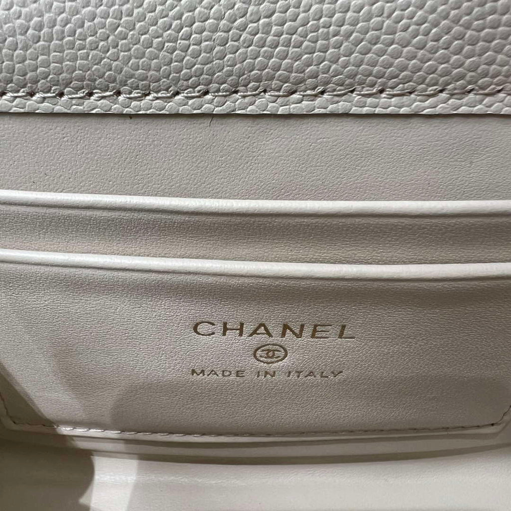 CHANEL Apricot Mini Flap Bag with Handle - AP3237