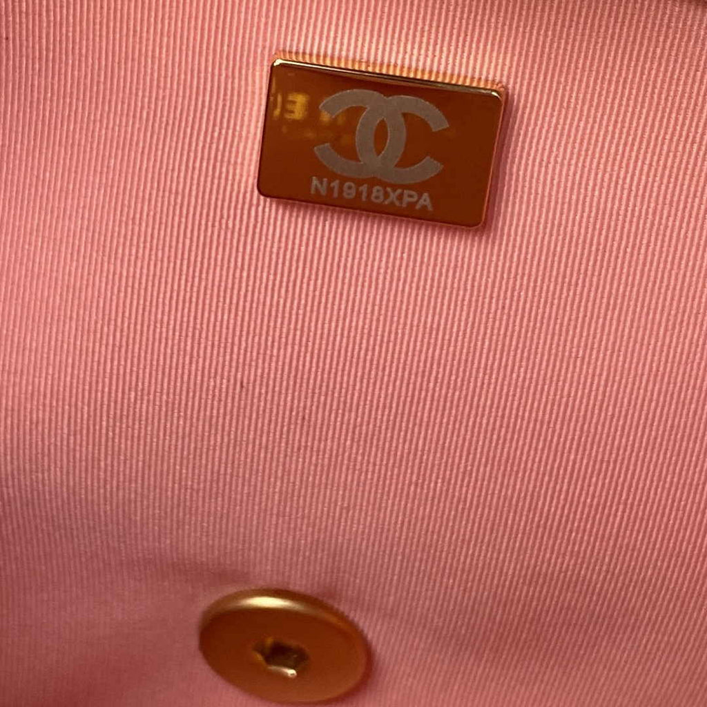 Chanel Small Flap Bag AS4489 Calfskin Pink