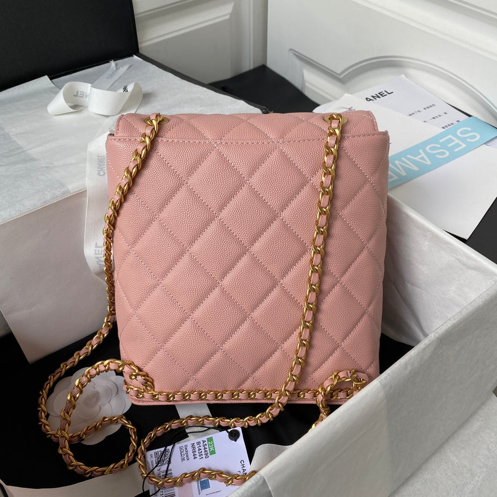 Chanel Small Flap Bag AS4490 Calfskin Pink
