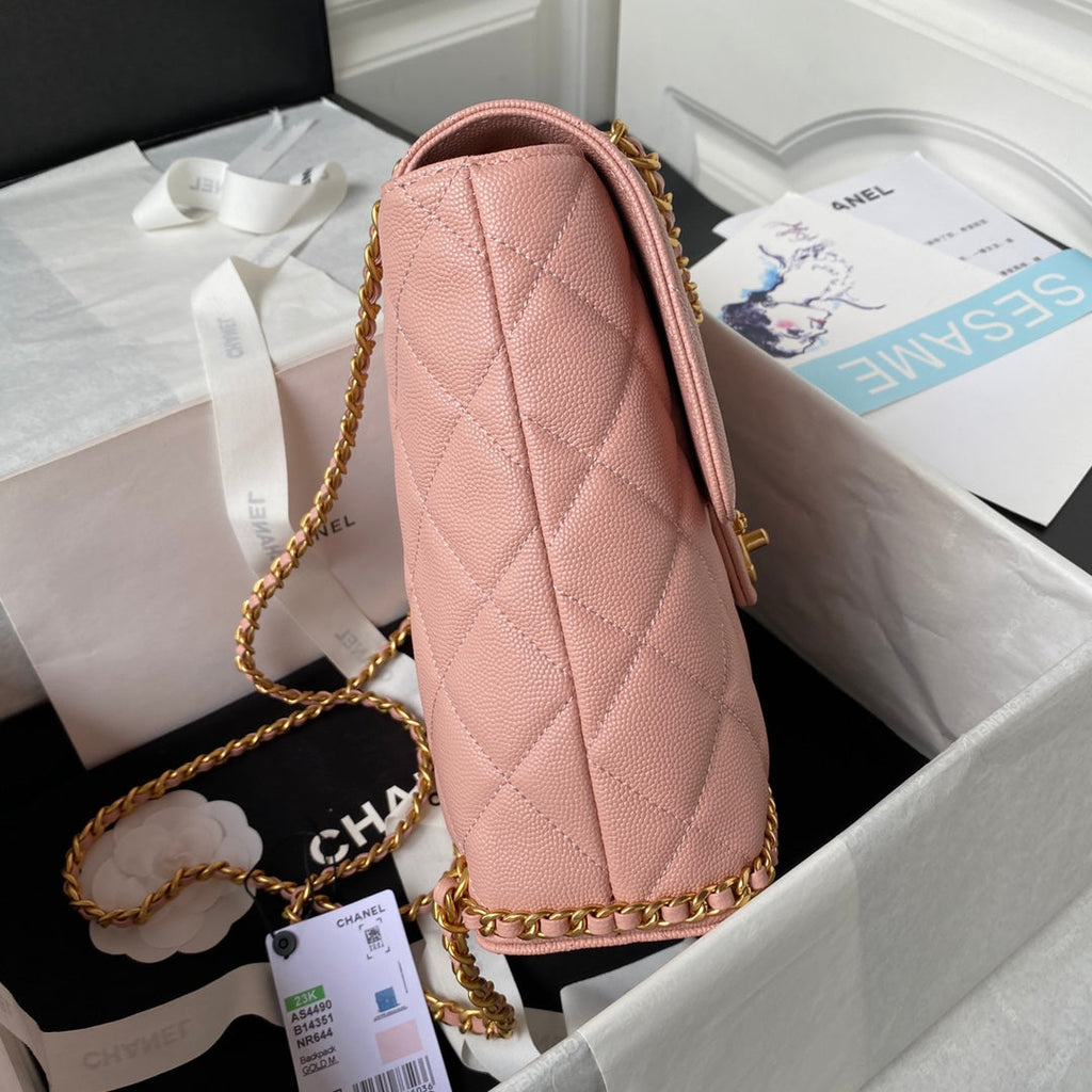 Chanel Small Flap Bag AS4490 Calfskin Pink