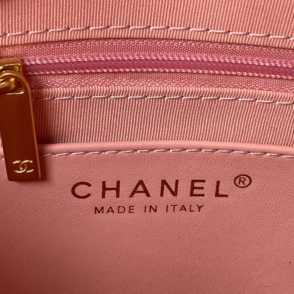 Chanel Small Flap Bag AS4490 Calfskin Pink