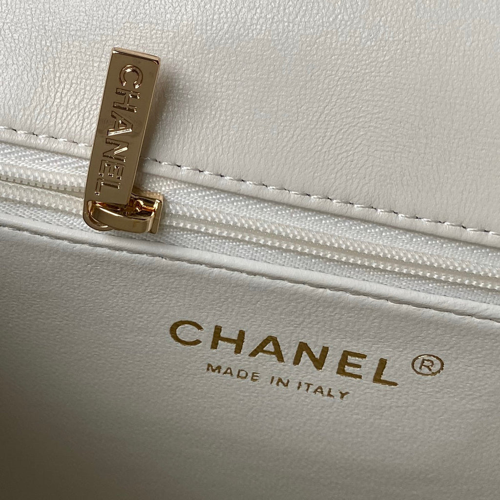 Chanel Top Handle Bag AS4544 Lambskin Beige