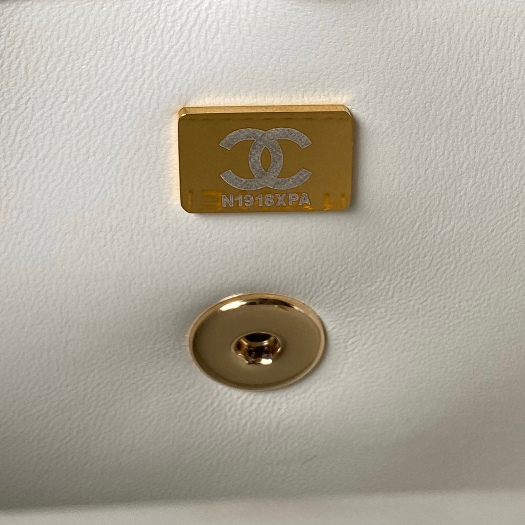 Chanel Top Handle Bag AS4544 Lambskin Beige
