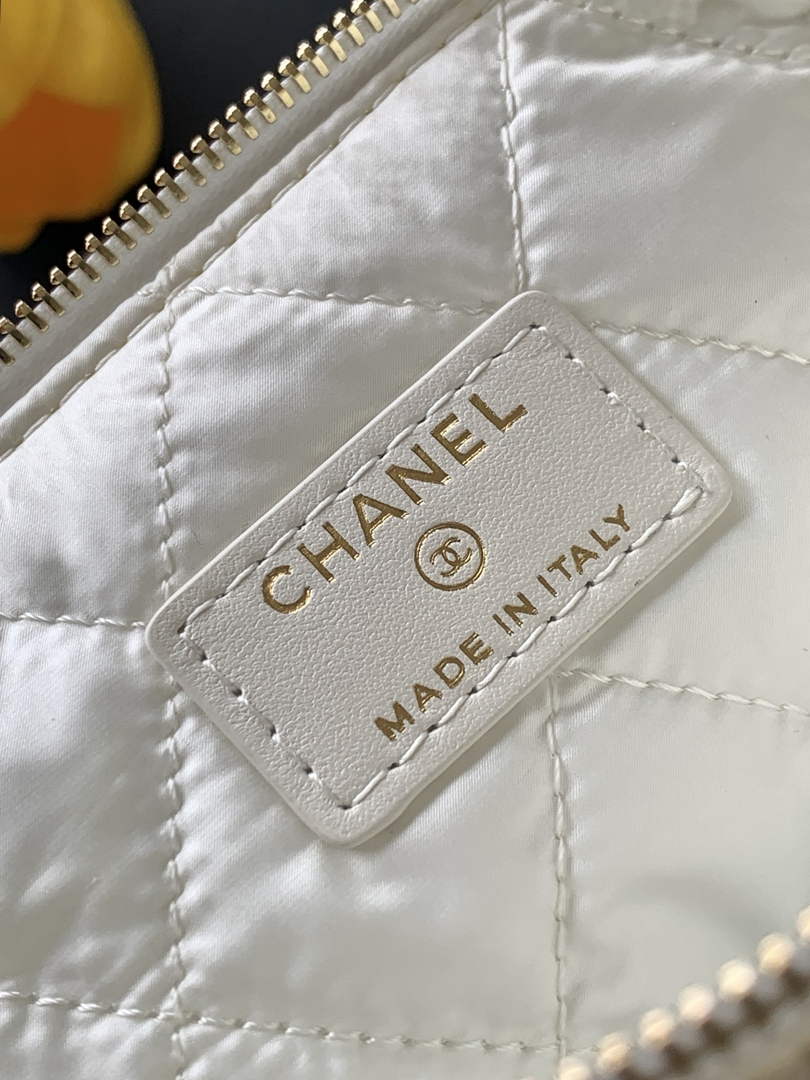 Chanel Zipped case Printed fabric AP4989