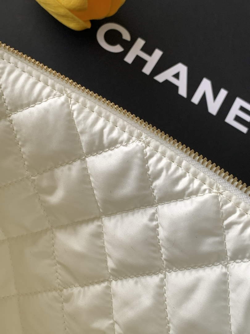 Chanel Zipped case Printed fabric AP4988