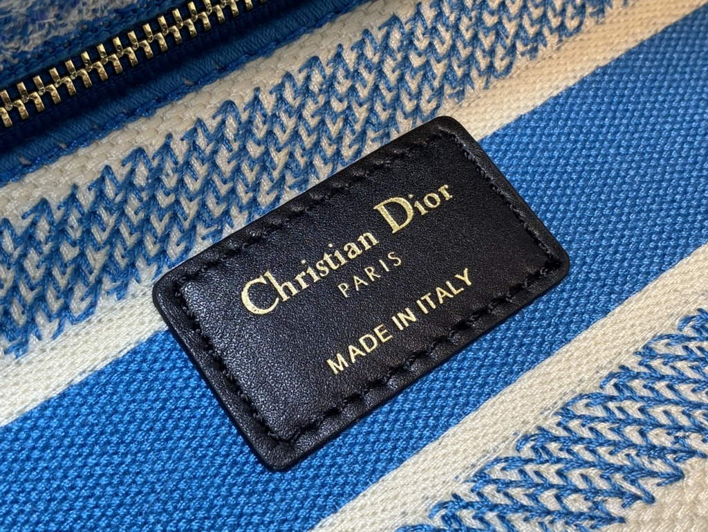 Dior M0565 Medium Lady D-Lite Bag light blue Toile de Jouy - Default Title - View 9