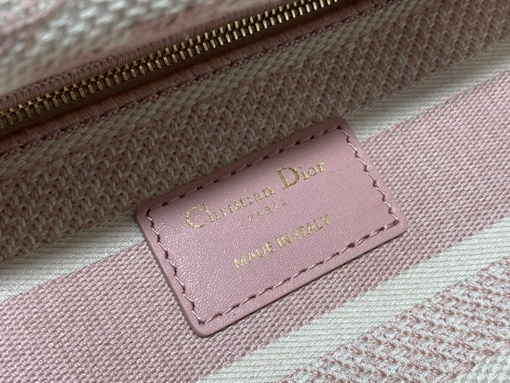 Dior M0565 Medium Lady D-Lite Bag Rose Des Vents Toile de Jouy - Default Title - View 9