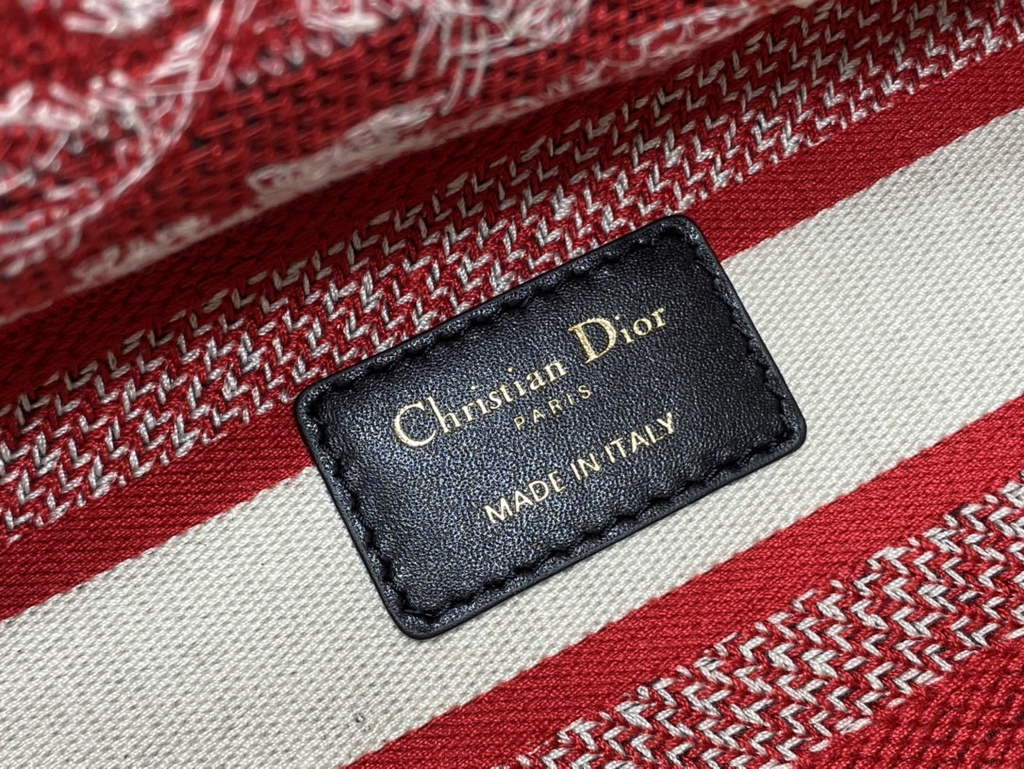 Dior M0565 Medium Lady D-Lite Bag Red Toile de Jouy - Default Title - View 9