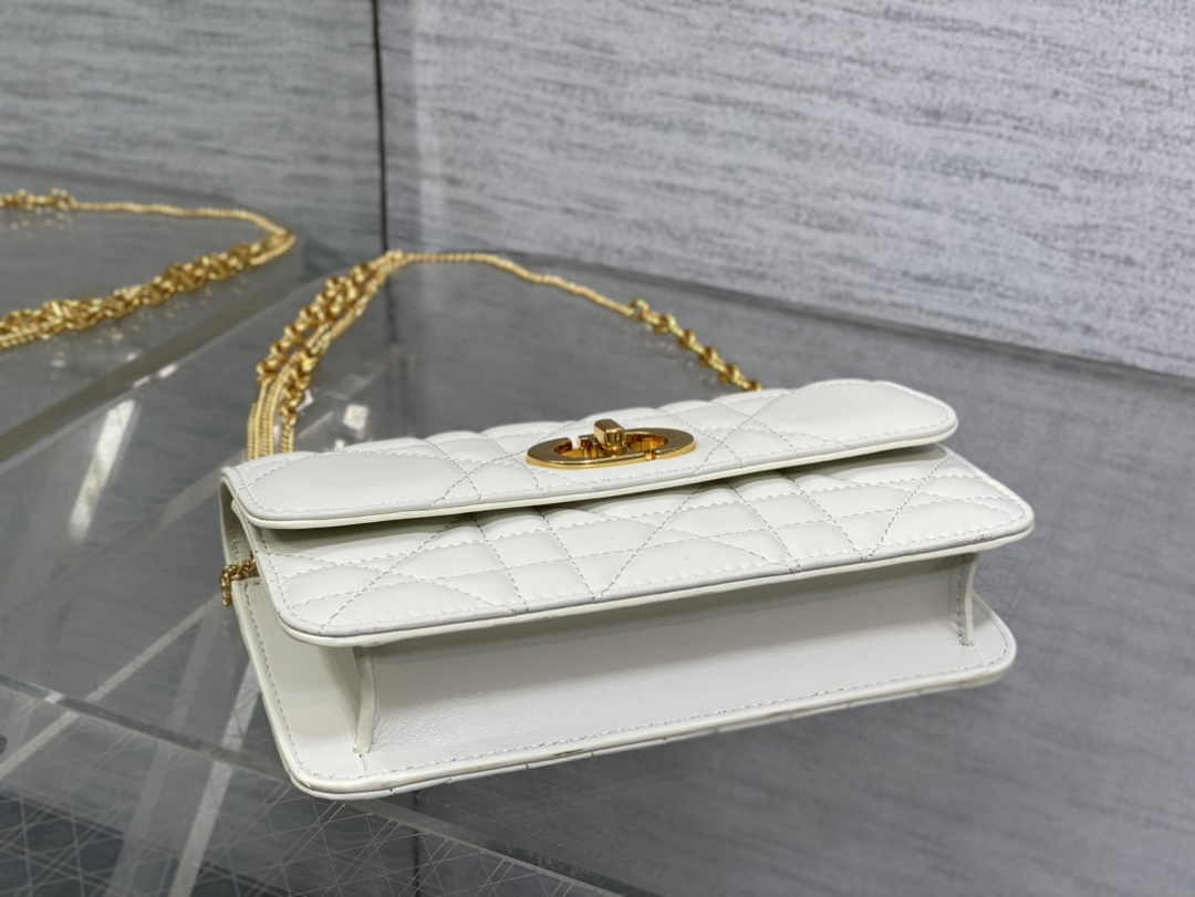 Dior 30 Montaigne Avenue East-West Double Carry Mini Bag S2350 Beige