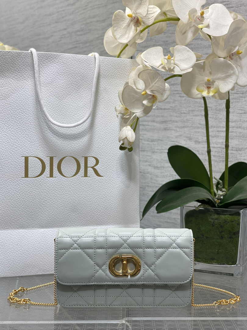 Dior 30 Montaigne Avenue East-West Double Carry Mini Bag S2350 Gray