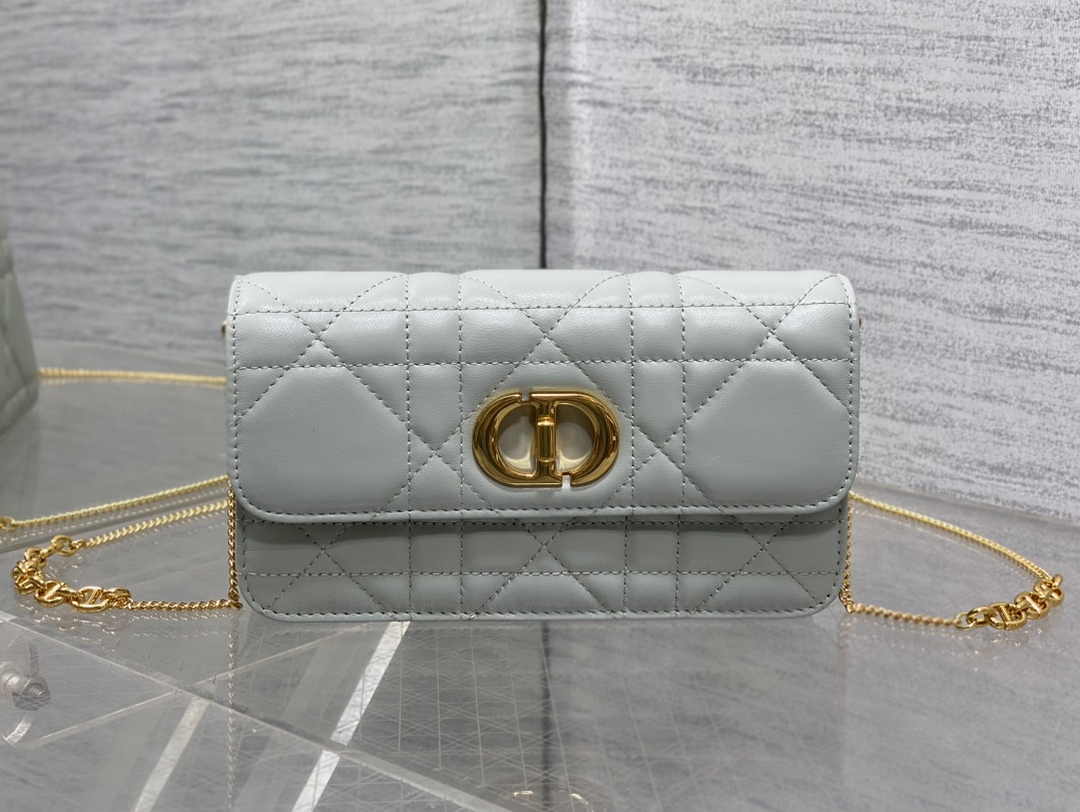 Dior 30 Montaigne Avenue East-West Double Carry Mini Bag S2350 Gray
