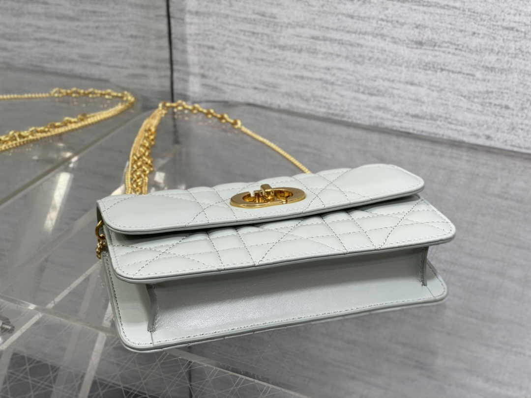 Dior 30 Montaigne Avenue East-West Double Carry Mini Bag S2350 Gray