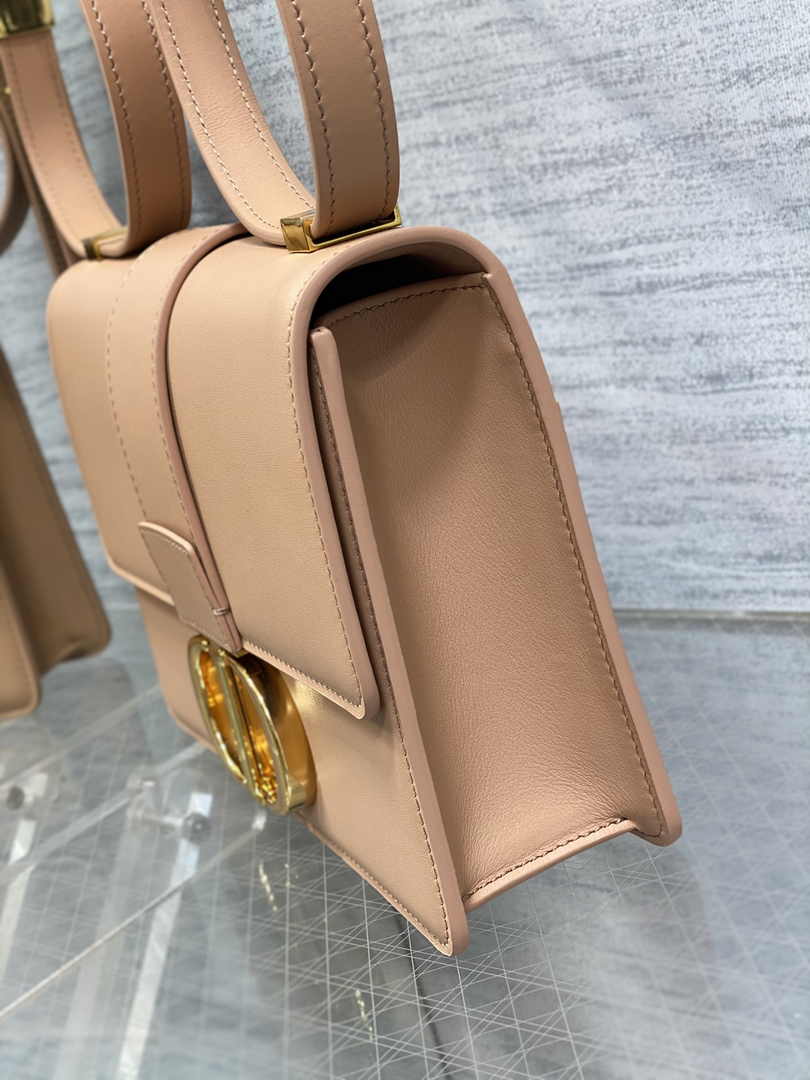 Dior 30 Montaigne Bag Pink Box Calfskin M9203