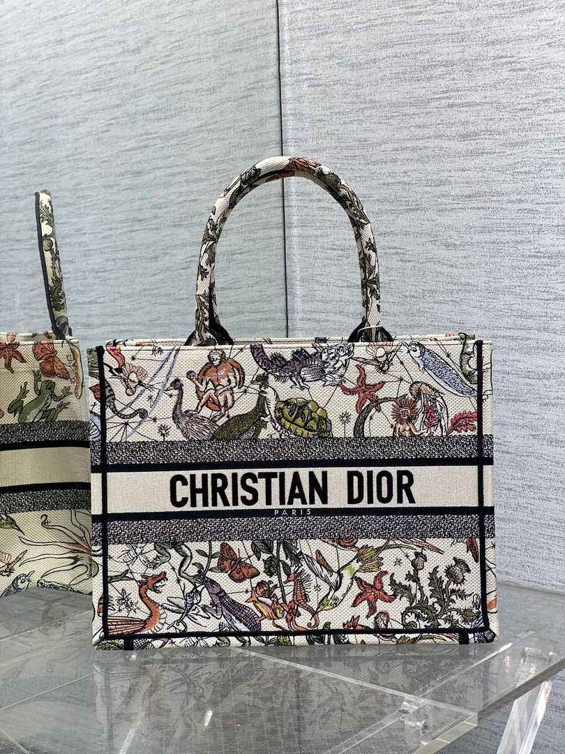 Dior Medium Book Tote M1296 Embroidery M20E2