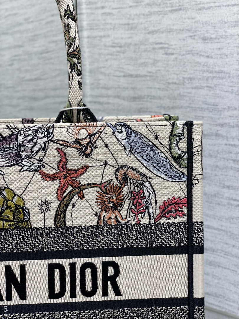 Dior Medium Book Tote M1296 Embroidery M20E2