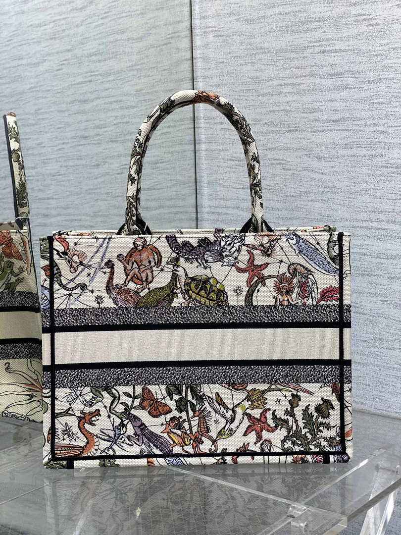 Dior Medium Book Tote M1296 Embroidery M20E2