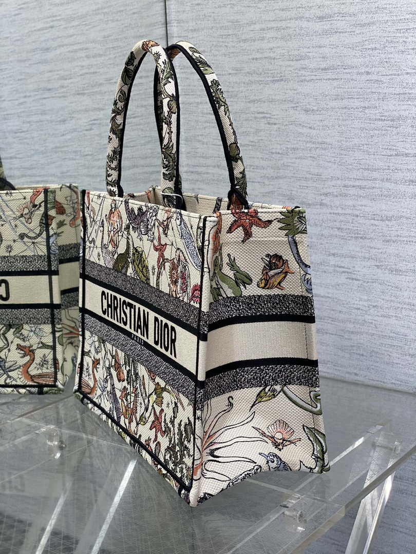 Dior Medium Book Tote M1296 Embroidery M20E2
