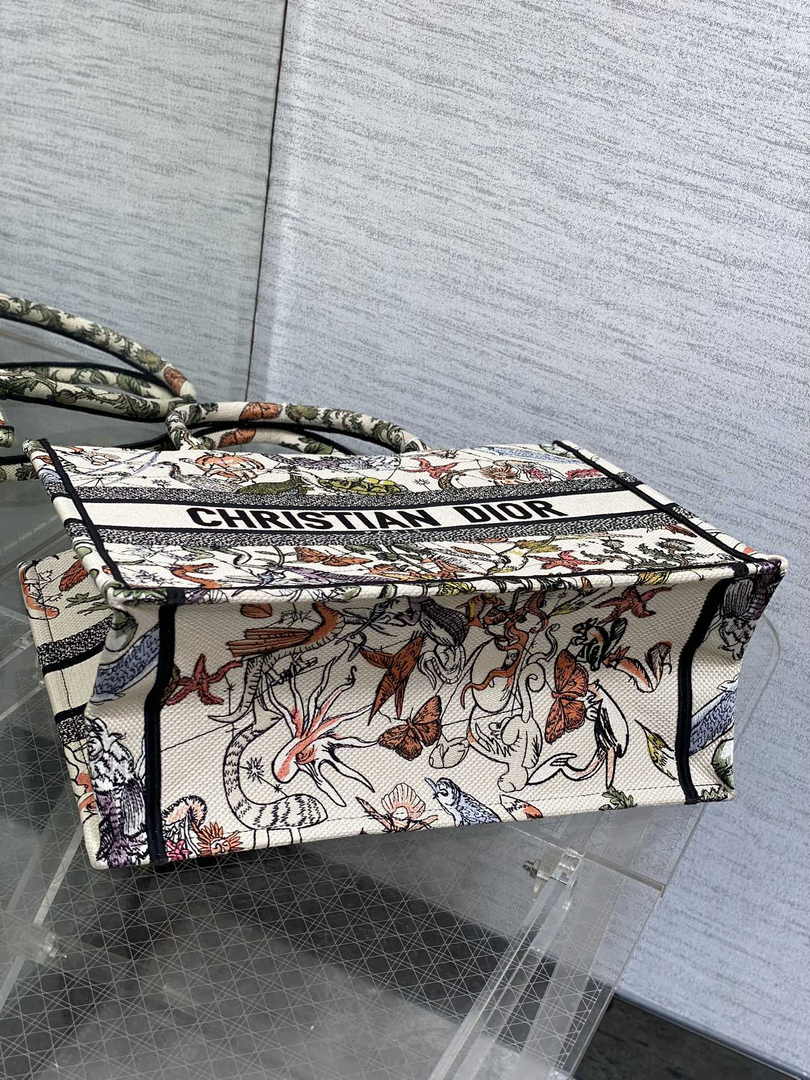 Dior Medium Book Tote M1296 Embroidery M20E2