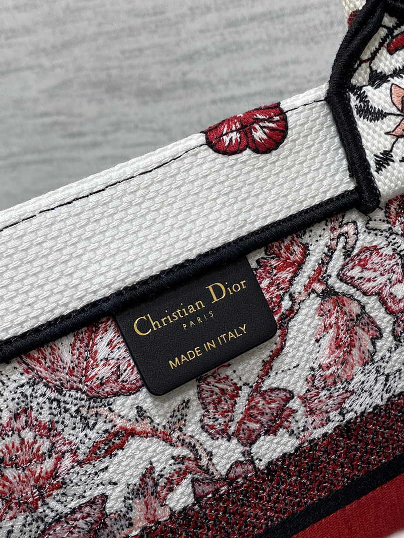 Dior Medium Book Tote M1296 Embroidery M20E3