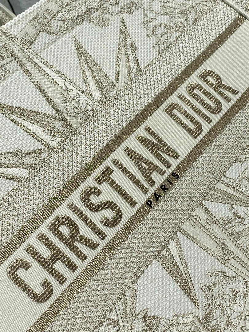 Dior Medium Book Tote M1296 Embroidery M20E5