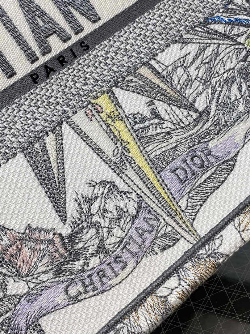Dior Medium Book Tote M1296 Embroidery M20E6