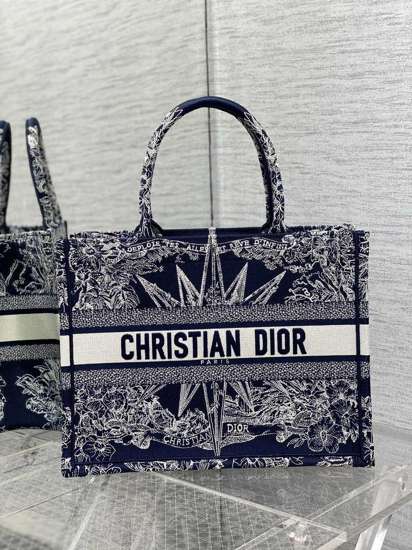 Dior Medium Book Tote M1296 Embroidery M20E7