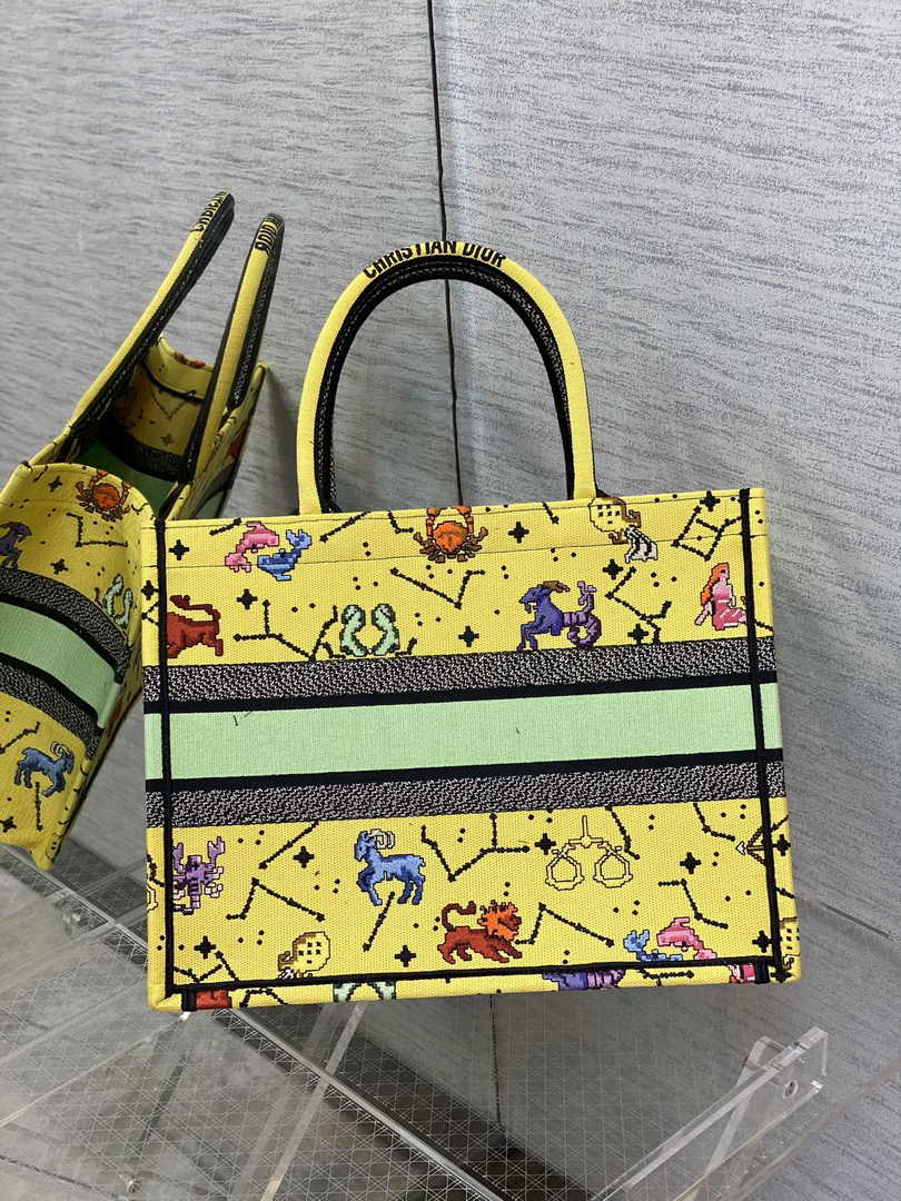 Dior Medium Book Tote M1296 Embroidery M20F9