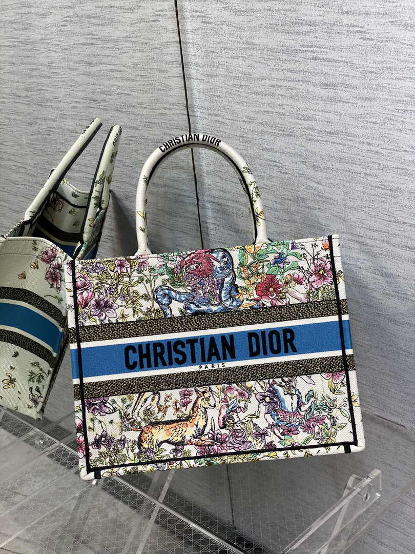 Dior Medium Book Tote M1296 Embroidery M20G2