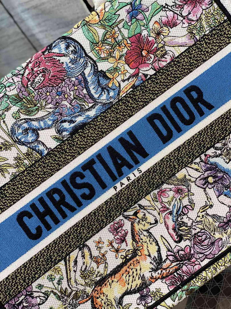 Dior Medium Book Tote M1296 Embroidery M20G2