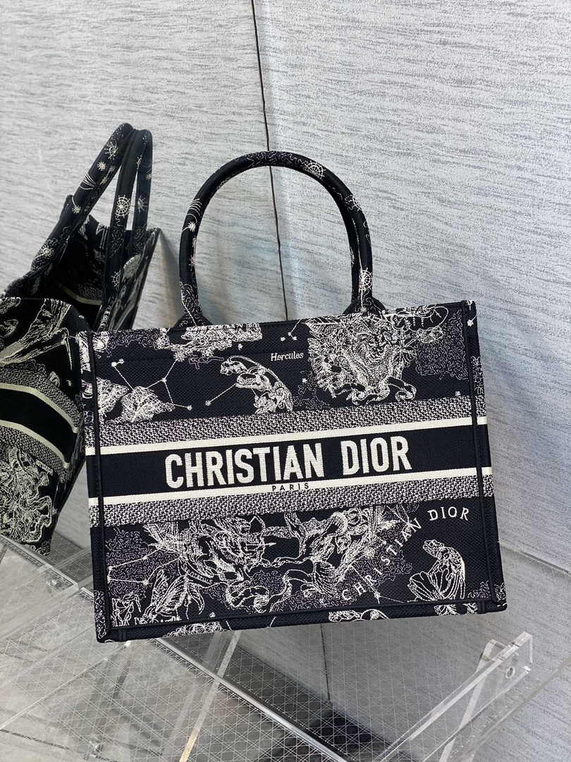 Dior Medium Book Tote M1296 Embroidery M20G7
