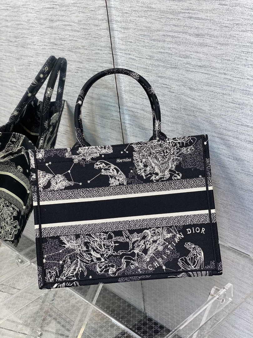Dior Medium Book Tote M1296 Embroidery M20G7