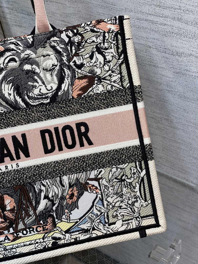 Dior Medium Book Tote M1296 Embroidery M20G9