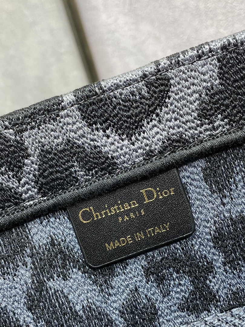 Dior Medium Book Tote M1296 Gray Multicolor Mizza Embroidery