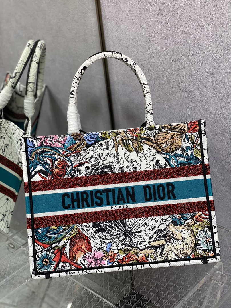 Dior Medium Book Tote M1296 Embroidery M20H2