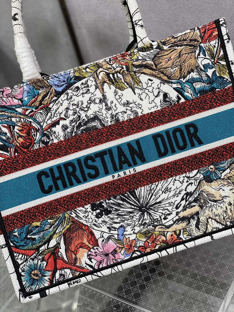 Dior Medium Book Tote M1296 Embroidery M20H2